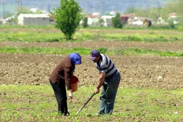 Αυξημένη κατά 50 ευρώ η σύνταξη των αγροτών από το Φεβρουάριο