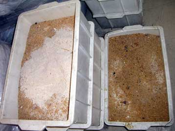 Τόνους αλλοιωμένων τροφίμων εντόπισε η Νομαρχία Πειραιά σε αποθήκες εταιρείας ζυμαρικών