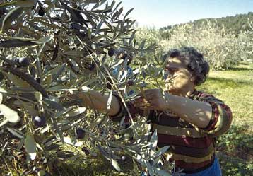 Δίχως κάλυψη οι νέες μορφές θεραπείας για τους καρκινοπαθείς