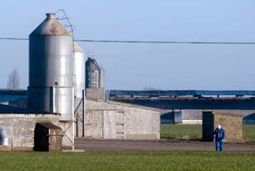 Πυρετωδώς εργάζεται η Βρετανία για να περιορίσει την πρώτη εστία Η5Ν1