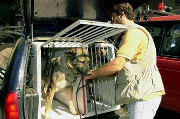 Φάρσα για βόμβα στον τηλεοπτικό σταθμό Mega