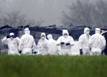 Γρίφος για τους Βρετανούς η εμφάνιση του κρούσματος Η5Ν1 στη συγκεκριμένη φάρμα