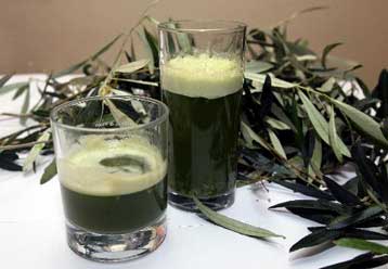 Νέες προειδοποιήσεις επιστημόνων για την κατανάλωση της «φραπελιάς»