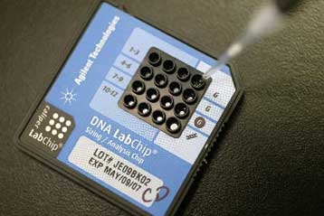 Προ των ελληνικών πυλών ο Ευρωπαίος «Μεγάλος Αδελφός»