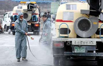 Νέα κρούσματα της γρίπης των πτηνών σε Πακιστάν και Νότιο Κορέα