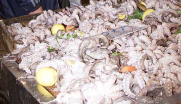 Ποσότητα-«μαμούθ» 13 τόνων ακατάλληλων θαλασσινών δέσμευσαν οι αρμόδιες αρχές