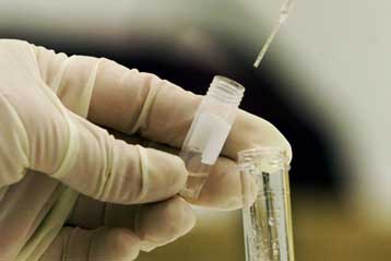 Τα κρυφά τεστ πατρότητας παράνομα στη Γερμανία