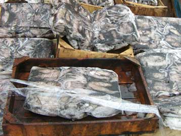 Δέκα τόνοι κατεψυγμένα θαλασσινά κατασχέθηκαν στο Κερατσίνι και το Σκαραμαγκά