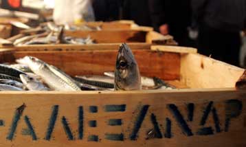 Λειτουργούν λαϊκές αγορές και φούρνοι την Καθαρά Δευτέρα