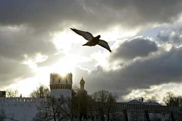 Κινέζοι επιστήμονες πιλοτάρουν ζωντανά περιστέρια