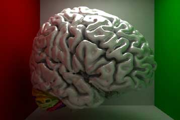 Ο εγκέφαλος πράγματι αντιλαμβάνεται τα παρασυνειδησιακά μηνύματα