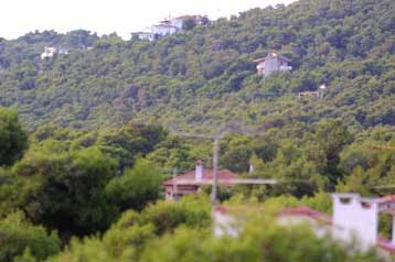 «Στοπ» από το ΣτΕ στον αποχαρακτηρισμό δασικών εκτάσεων