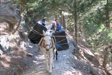 Εντός Απριλίου θα ανοίξει το φαράγγι της Σαμαριάς