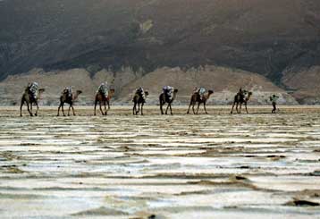 Δεκαπέντε Ευρωπαίοι τουρίστες έπεσαν θύματα απαγωγής στην Αιθιοπία