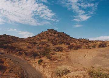 Στην Ερυθραία επιρρίπτει η Αιθιοπία την ευθύνη για την απαγωγή των πέντε Βρετανών