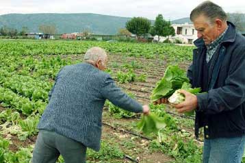 Μειώσεις στο τεκμαρτό δηλούμενο εισόδημα για βασικά αγροτικά προϊόντα