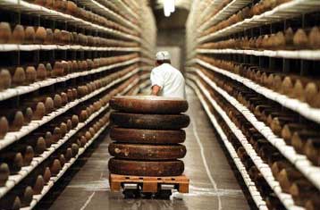 Περίπου ένας τόνος ακατάλληλων τυριών κατασχέθηκαν από τη Νομαρχία Πειραιά