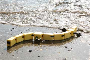 Ρομποτική σαλαμάνδρα δίνει στοιχεία για την εξέλιξη των πρώτων χερσαίων ζώων