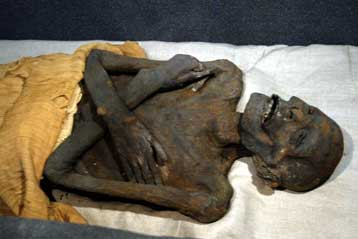 Τα κανοπικά αγγεία του Λούβρου δεν περιέχουν τα όργανα του Ραμσή