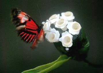 Τον πιο θερμό χειμώνα από το 1880 έζησε το 2007 ο πλανήτης