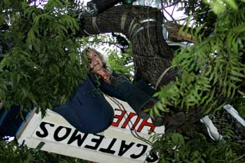 Διάσημοι αστέρες μαχητές της «πράσινης επανάστασης»