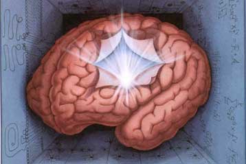 Περιοχή του εγκεφάλου χρωματίζει με συναίσθημα τις ηθικές επιλογές