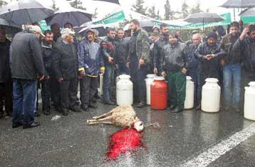 Σε αποκλεισμό δρόμων προχώρησαν αγρότες και κτηνοτρόφοι στην Κρήτη
