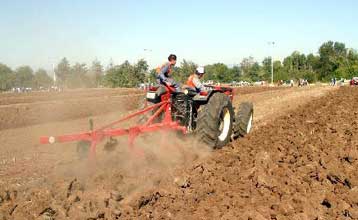 Στο 7% ο συντελεστής επιστροφής ΦΠΑ στους αγρότες για τη ζωική και φυτική παραγωγή