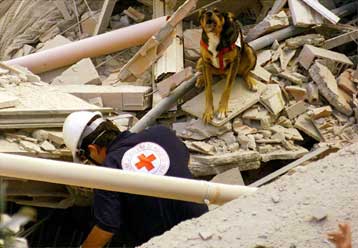 Κατέρρευσε κτίριο πέντε ορόφων στο Χάρλεμ της Νέας Υόρκης