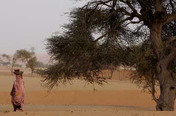 Νέα προειδοποίηση αναμένεται από τον ΟΗΕ για τις επιπτώσεις της κλιματικής αλλαγής