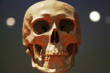 Οστά πρωτόγονου Ασιάτη αναζωπυρώνουν ανθρωπολογική διαμάχη