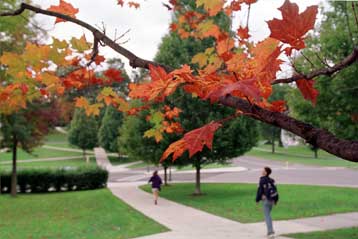 Τα εξωγήινα φυτά μπορεί να είναι κίτρινα, κόκκινα ή μαύρα