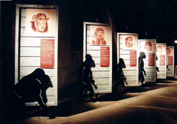 Τα ίχνη του προϊστορικού ανθρώπου εξερευνεί το Megaron Plus