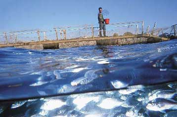 Εξαγορά του 17,9% της Marine Farms από τη Νηρεύς