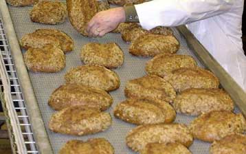 Το 88,51% της Κατσέλης ελέγχει η Αλλατίνη