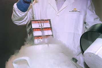 Δημόσια τράπεζα βλαστικών κυττάρων σύντομα και στη Θεσσαλονίκη