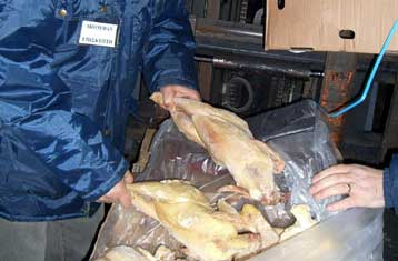 Κατάσχεση 340 τόνων ακατάλληλων τροφίμων από τη Νομαρχία Πειραιά