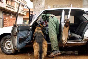 Σκοτώθηκε το νούμερο 2 της Αλ Κάιντα του Μαγκρέμπ, σύμφωνα με πληροφορίες