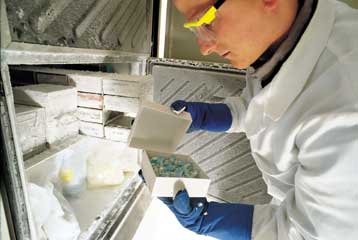 Νέοι γενετικοί παράγοντες κινδύνου αναγνωρίστηκαν για τον διαβήτη