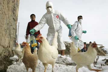 Αντισώματα από ασθενείς υπόσχονται θεραπεία της γρίπης των πτηνών