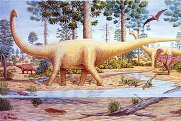 Στο φως οι μεγαλύτεροι δεινόσαυροι της Αυστραλίας