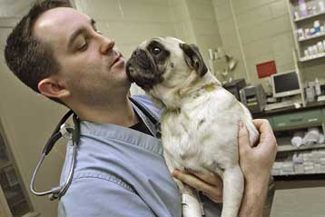 Στα πτηνοτροφεία επεκτείνεται το σκάνδαλο με τις μολυσμένες ζωοτροφές στις ΗΠΑ