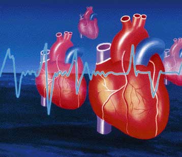 Επτά σοφοί της καρδιοχειρουργικής θα συναντηθούν στις 11 και 12 Μαΐου στη χώρα μας