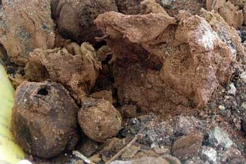 Ύφασμα 2.700 ετών βρέθηκε σε ανασκαφή στο Αργος