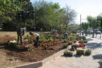 Στην αρμοδιότητα του Δήμου Αθηναίων θέλει τα πάρκα ο Νικήτας Κακλαμάνης