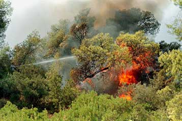 Τριακόσια στρέμματα δασικής έκτασης αποτεφρώθηκαν στον Ταΰγετο