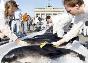 Η Greenpeace εκθέτει στο Βερολίνο φάλαινες και δελφίνια θύματα των ανθρώπων