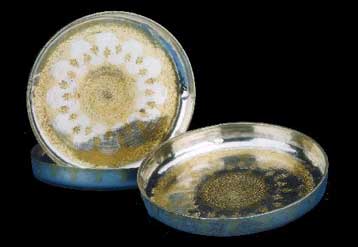 Στο στόχαστρο της Βουλγαρίας μπαίνουν τα εννέα αργυρά πιάτα του 12ου αιώνα