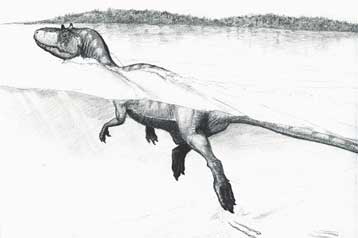 Οι δεινόσαυροι μπορούσαν να κολυμπούν, αποκαλύπτουν απολιθωμένα ίχνη