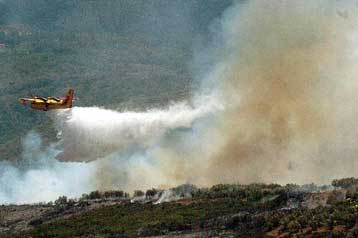 Υπό έλεγχο τέθηκαν οι εστίες πυρκαγιάς στην ευρύτερη περιοχή της Λαμίας